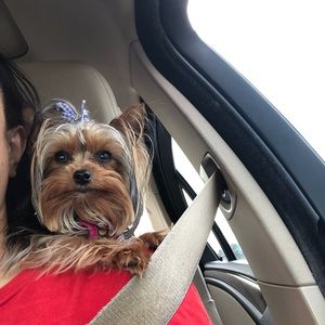 Meet your Posher, Lynnette